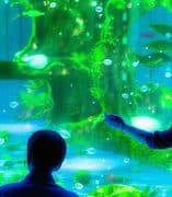 The Future of Movie Reviews: AI, Personalization, and Beyond - Cover Image