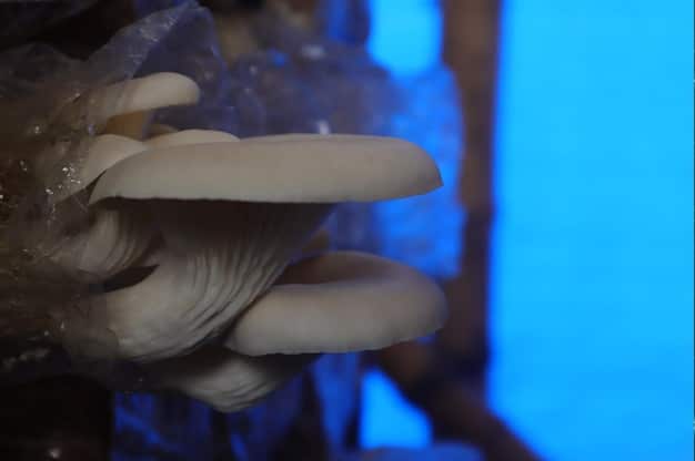 A close-up of a visitor touching a textured, interactive sculpture in an art installation. The lighting is soft and inviting, highlighting the tactile nature of the artwork.